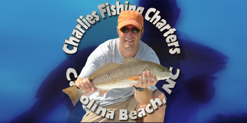 Charlies Inshore Fishing Featured Images