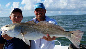 Big redfish