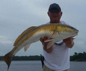 Big Red Drum